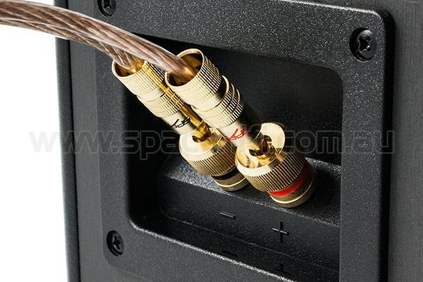 Dual SpaceLock Banana Plugs Connected to Speaker