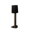 Paradigm Founder 40B Bookshelf Speakers (Pair)