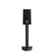 Paradigm Founder 40B Bookshelf Speakers (Pair)