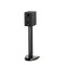 Paradigm Premier 100B Bookshelf Speakers (Pair)