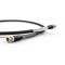 Tellurium Q Black Diamond Waveform hf Digital RCA / BNC Cable - 1m