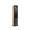 MartinLogan Motion F20 Floorstanding Speakers (Pair)