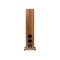 MartinLogan Motion Foundation F1 Floorstanding Speakers (Pair)