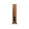 MartinLogan Motion Foundation F1 Floorstanding Speakers (Pair)