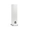 MartinLogan Motion XT F100 Floorstanding Speakers (Pair)