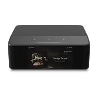 Bluesound NODE ICON Reference Music Streamer - On Back Order