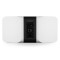 Bluesound PULSE 2i Premium Wireless Streaming Speaker