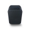 Bluesound PULSE FLEX 2i Wireless Streaming Speaker