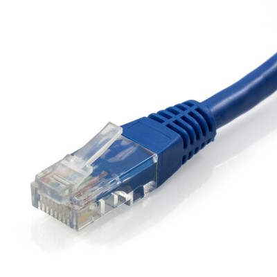 Pro2 Cat6 RJ45 Network Patch Cable - Blue