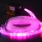 Star Light Ceiling Fibre Bundle