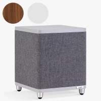 Ruark RS1 Subwoofer