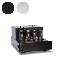 PrimaLuna EVO 100 Tube Power Amplifier (Stereo / Monoblock Switchable)