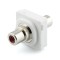 Red RCA to RCA Mech Insert Clipsal Compatible - White Bezel