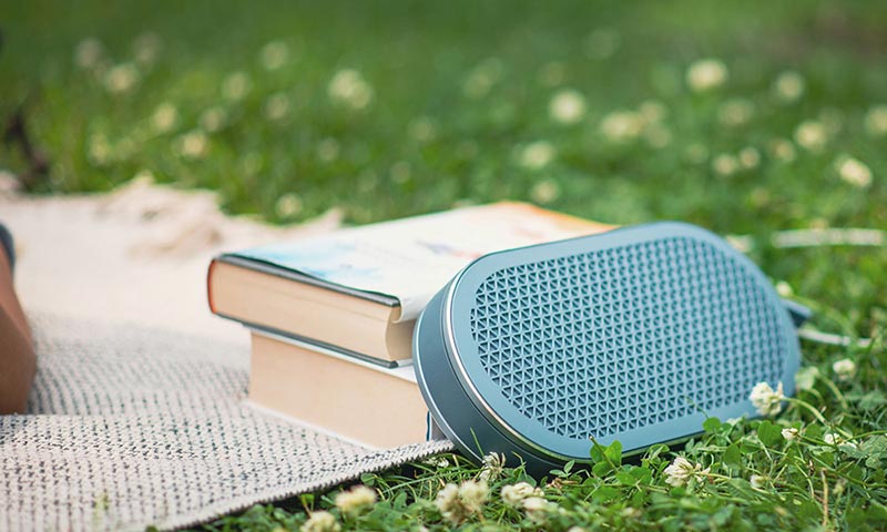 DALI KATCH G2 Bluetooth Speaker