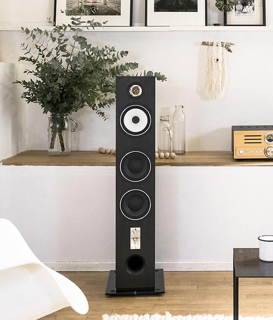 Triangle Esprit Antal Ez Floorstanding Speakers