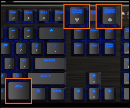 ThunderX3 TK50 Mechanical Gaming Keyboard