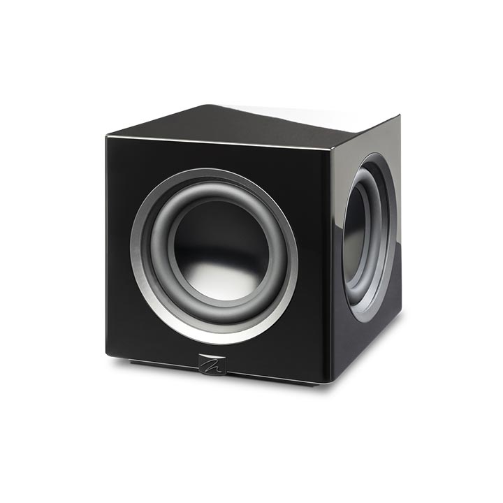 MartinLogan Abyss 10 Subwoofer