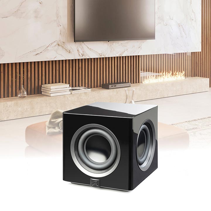 MartinLogan Abyss 10 Subwoofer