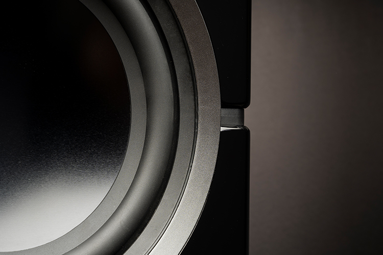MartinLogan Dynamo 10 Subwoofer