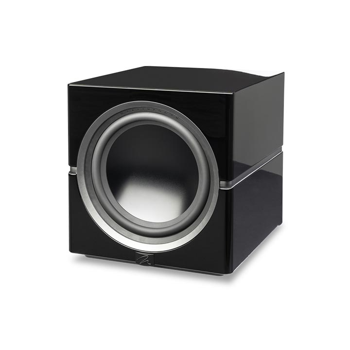 MartinLogan Dynamo 10 Subwoofer