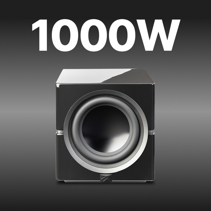 MartinLogan Dynamo 10 Subwoofer