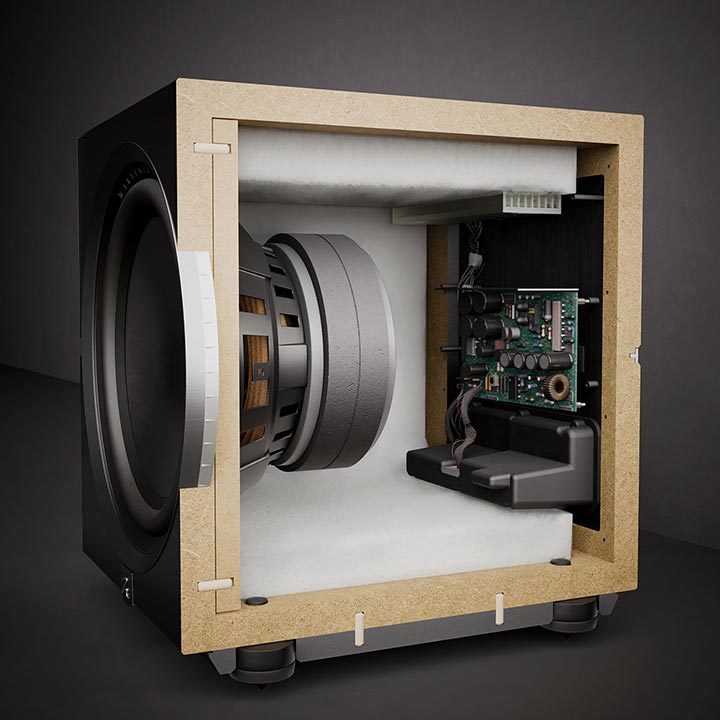 MartinLogan Dynamo 10 Subwoofer