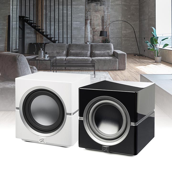 MartinLogan Dynamo 10 Subwoofer
