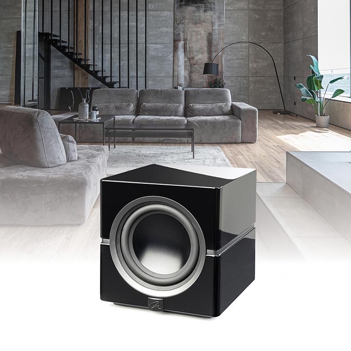 MartinLogan Dynamo 12 Subwoofer